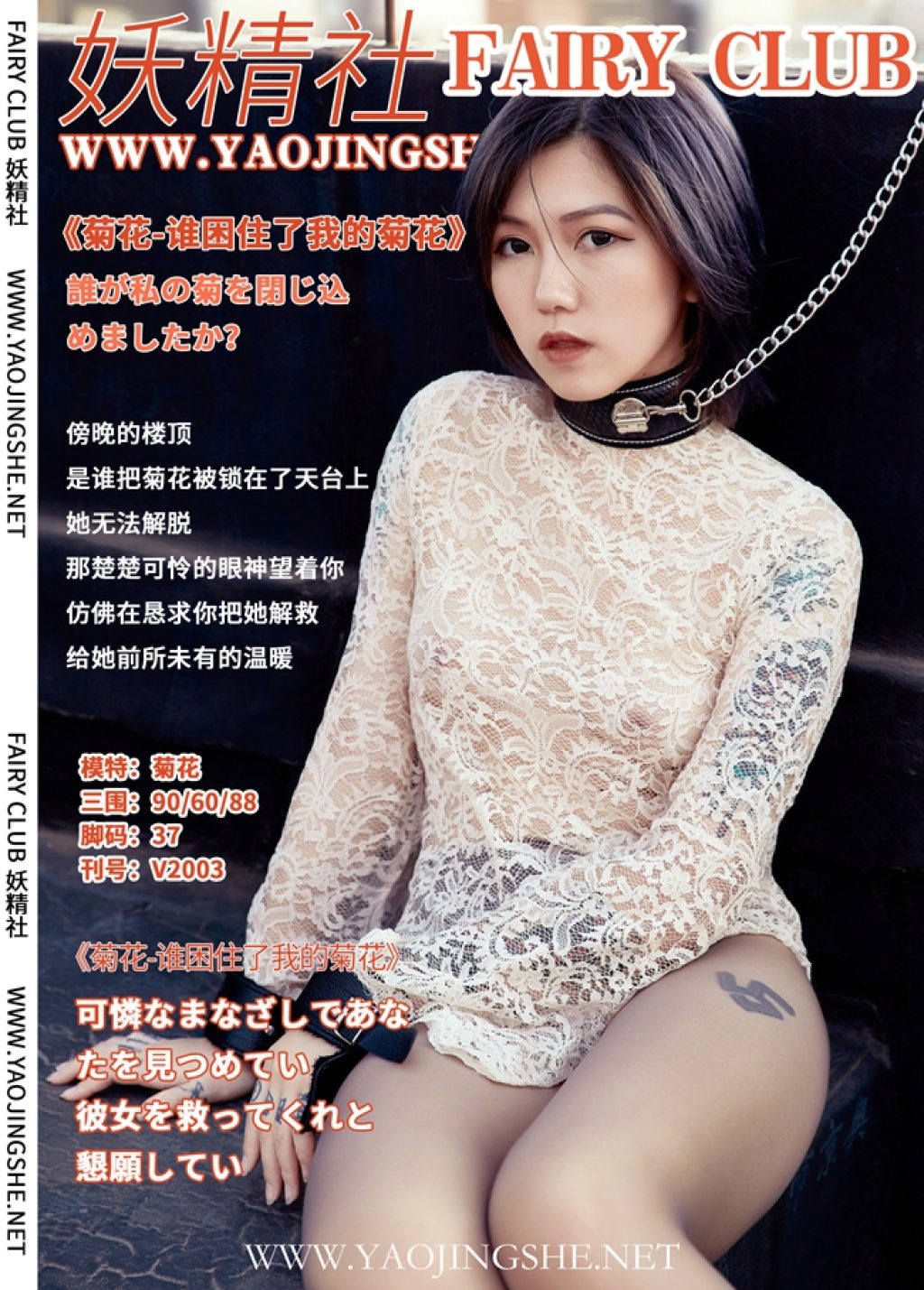 Watch sexy [YJS]妖精社 Vol.008: 菊花 photos