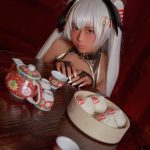 Coser@G44不会受伤 Vol.027: 酒吞女仆 电子版