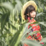 Coser@蠢沫沫 (chunmomo): The Story of Cornfield