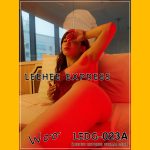 LEEHEE EXPRESS - LEDG-023A: Woo