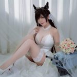 Coser@半半子: 二号B型