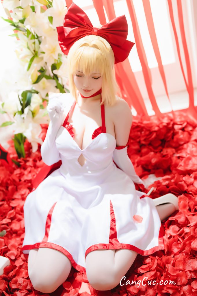 Coser@星之迟迟Hoshilily – 2023 6月计划A FATE-EXTELLA 尼禄