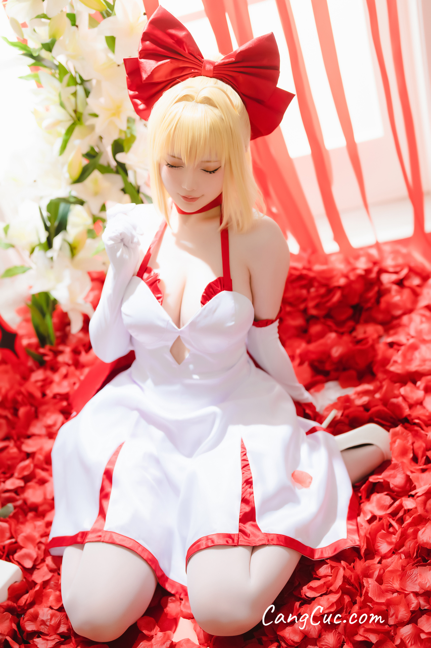 Watch sexy Coser@星之迟迟Hoshilily – 2023 6月计划A FATE-EXTELLA 尼禄 photos